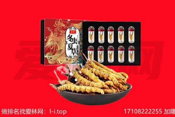 张家口下花园区回收虫草.jpg